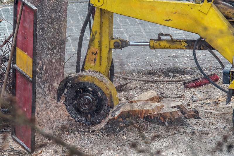 Tree Stump Removal Tree Stump Removal