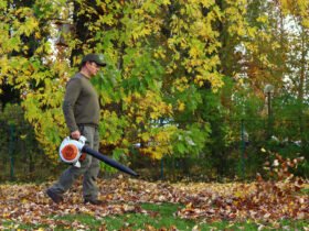 Garden Blower