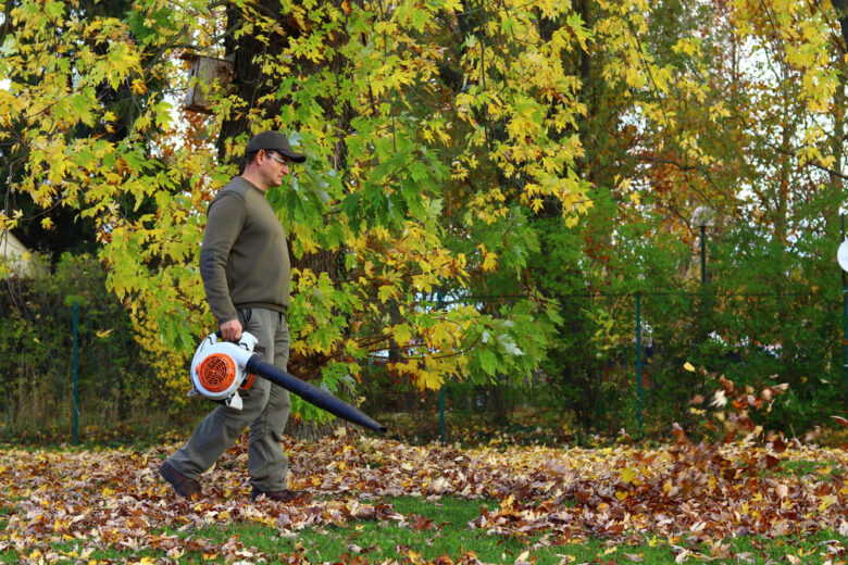 Garden Blower