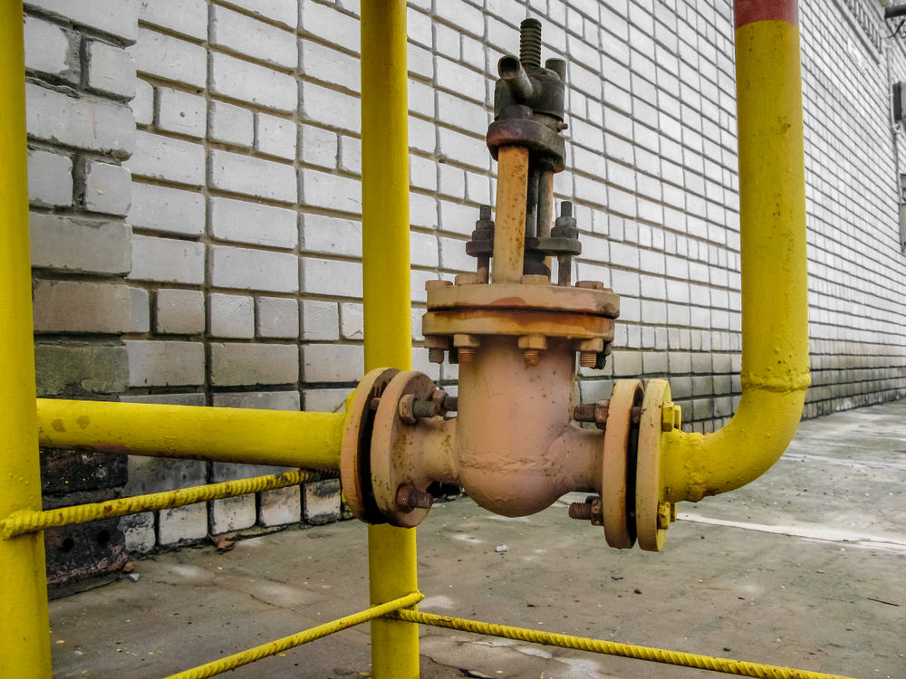 rotary valve