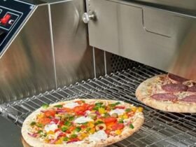 Portable Pizza Oven