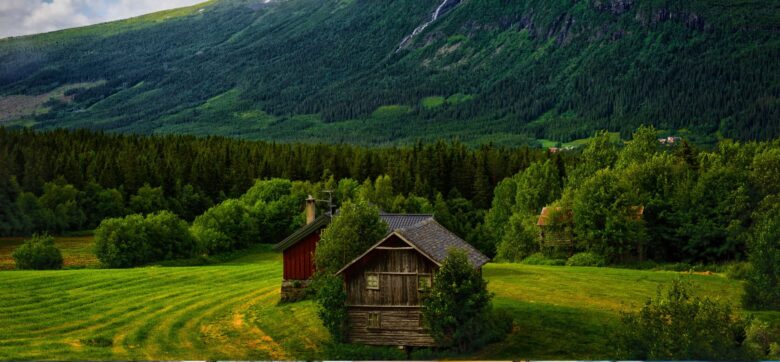 Cabin
