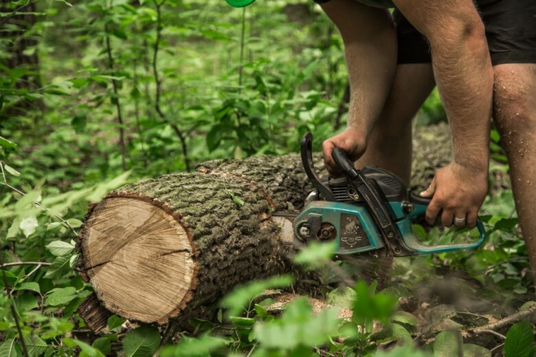 tree removal
