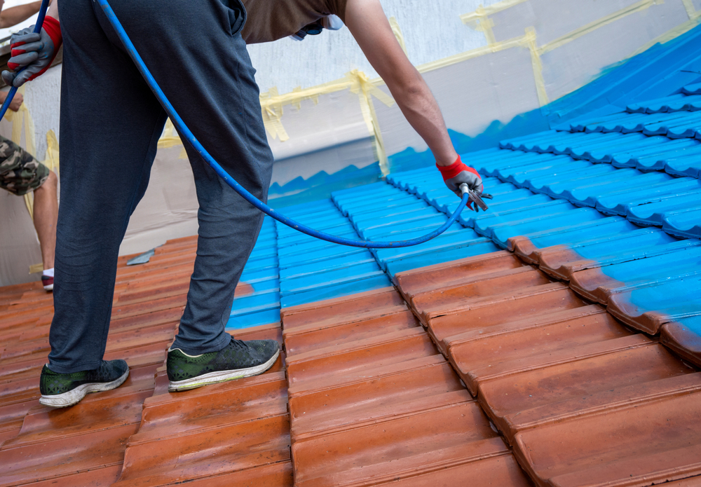 roof painting