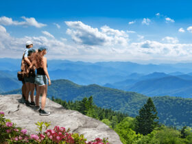 blue mountains day tours