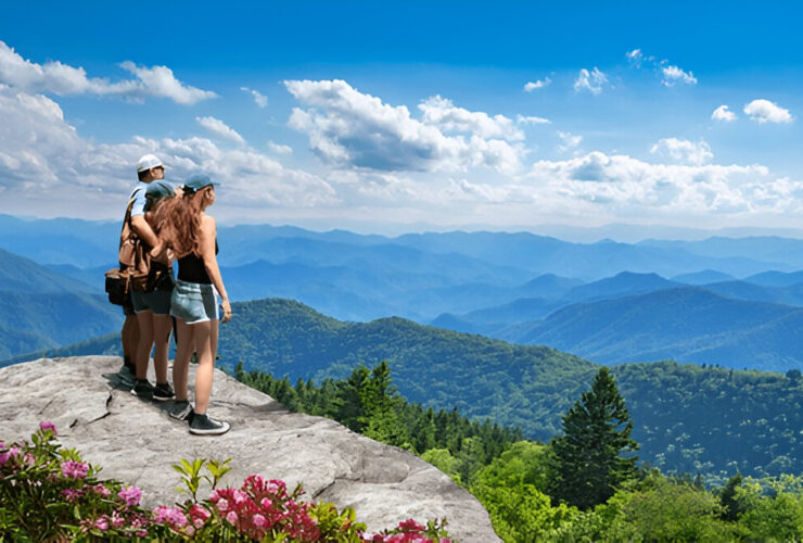 blue mountains day tours
