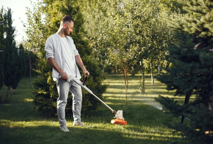 Lawn Mowing
