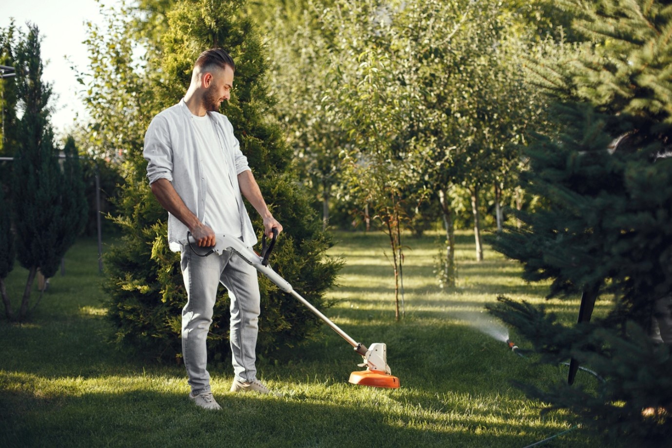 Lawn Mowing
