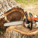 Tree Removal