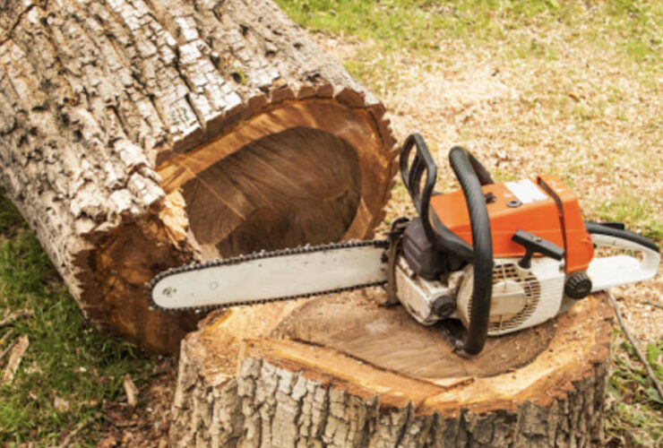 Tree Removal
