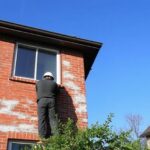 building and pest inspection