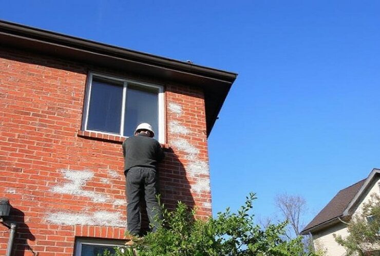 building and pest inspection