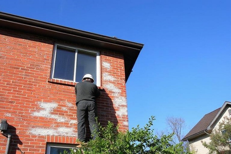 building and pest inspection