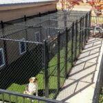 dog boarding kennels victoria