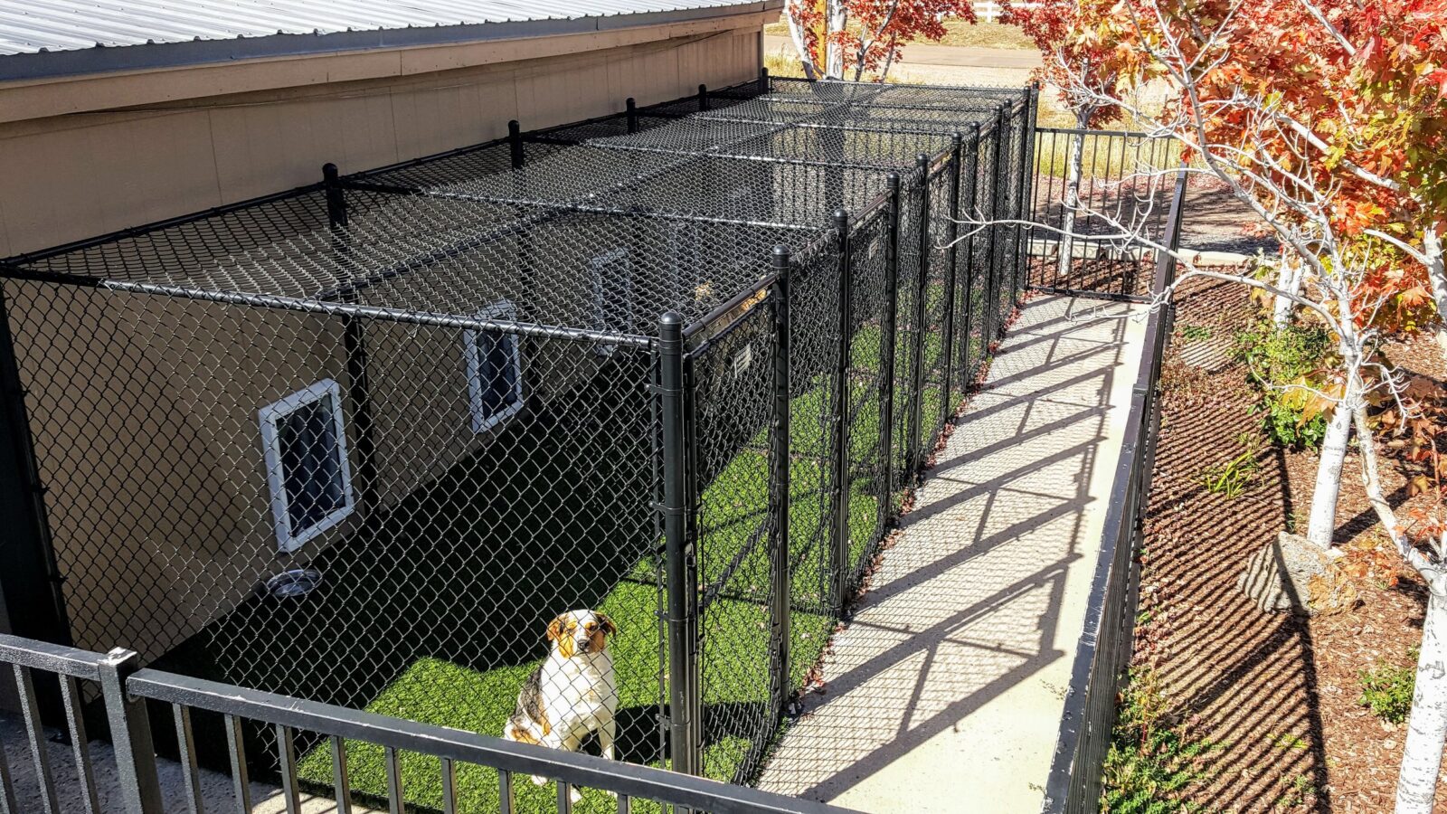 dog boarding kennels victoria
