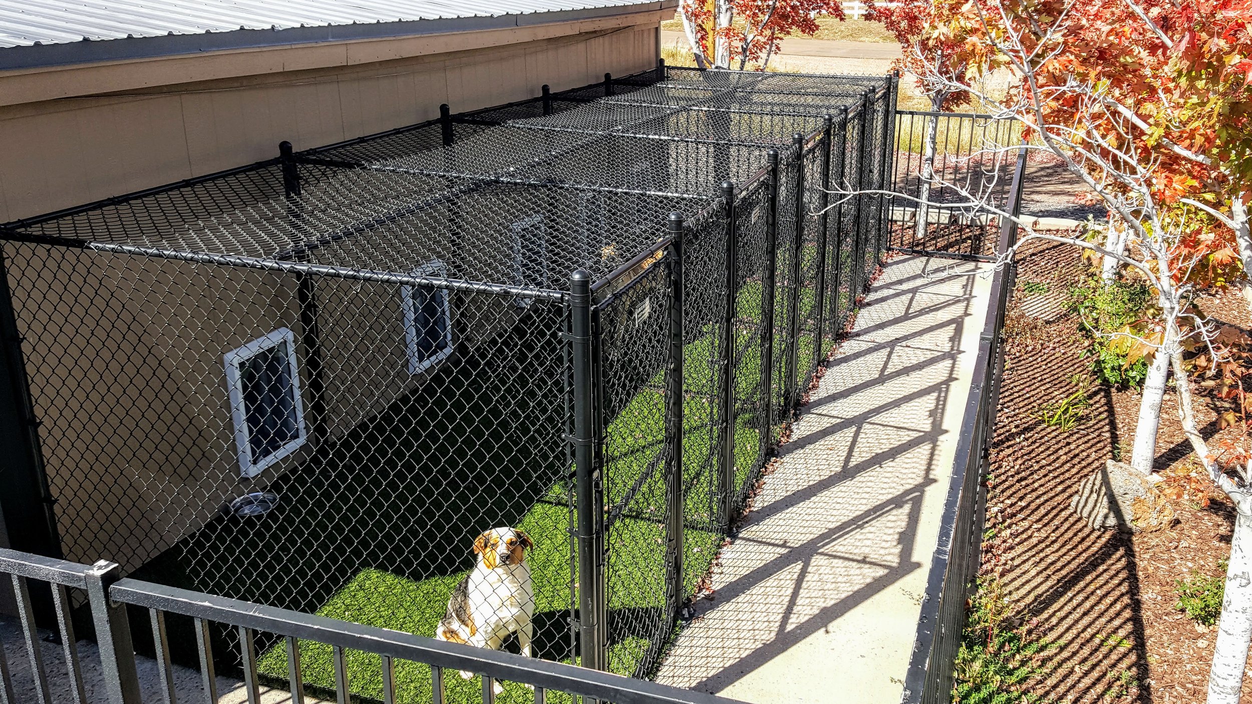 dog boarding kennels victoria
