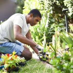 gardener box hill