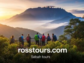 Choosing the right Broome to Darwin tour through the Kimberley landscape