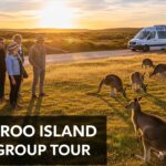 Kangaroo Island small group tour exploring wildlife, coastal landscapes, and natural attractions