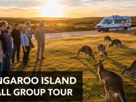 Kangaroo Island small group tour exploring wildlife, coastal landscapes, and natural attractions