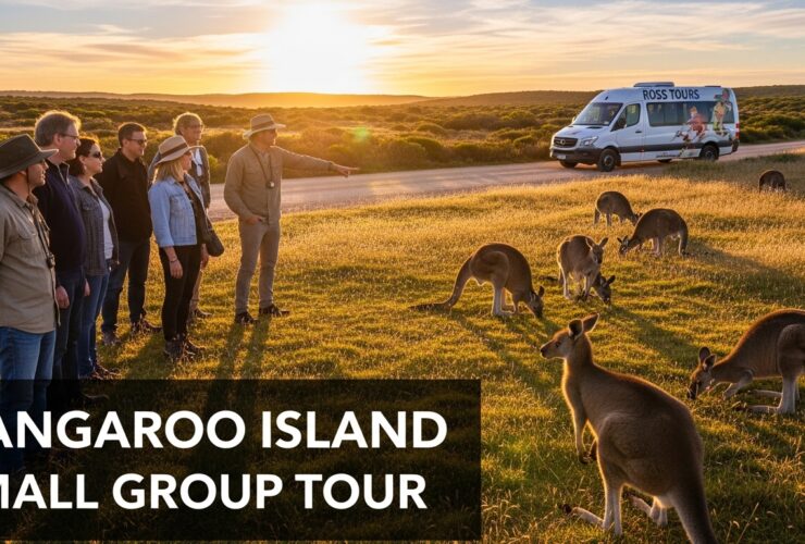 Kangaroo Island small group tour exploring wildlife, coastal landscapes, and natural attractions