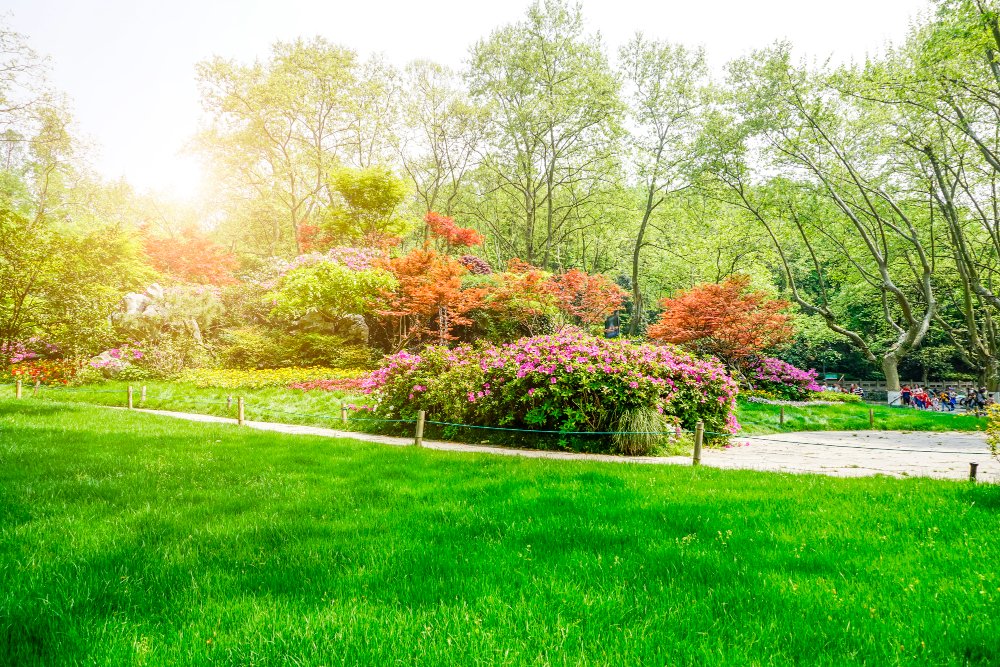 landscaping malvern